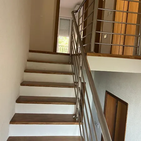 Sarajevo Oasis * Doglodi